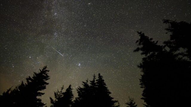 Tra\u00een\u00e9e lumineuse d'un m\u00e9t\u00e9ore des Pers\u00e9ides dans un ciel nocturne \u00e9toil\u00e9