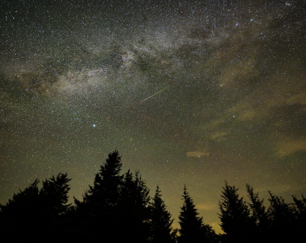 La Voie lactée dans un ciel nocturne étoilé, loin des lumières des villes, au-dessus d'une silhouette d'arbres