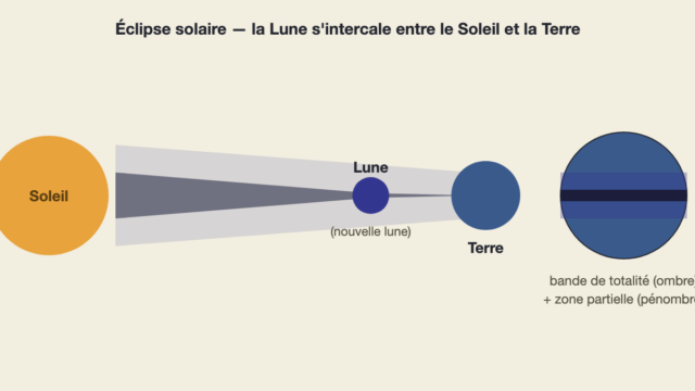 Schéma de la géométrie d'une éclipse solaire : la Lune s'intercale entre le Soleil et la Terre et projette son ombre et sa pénombre sur la surface terrestre