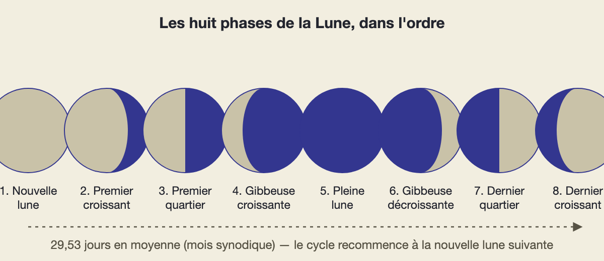 Les huit phases de la Lune dans l'ordre, de la nouvelle lune au dernier croissant, vues depuis l'hémisphère nord