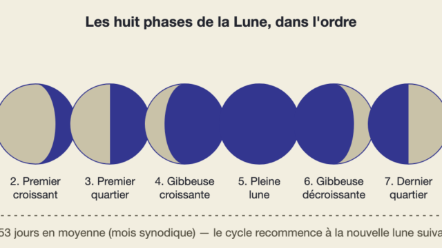 Les huit phases de la Lune dans l'ordre, de la nouvelle lune au dernier croissant, vues depuis l'hémisphère nord