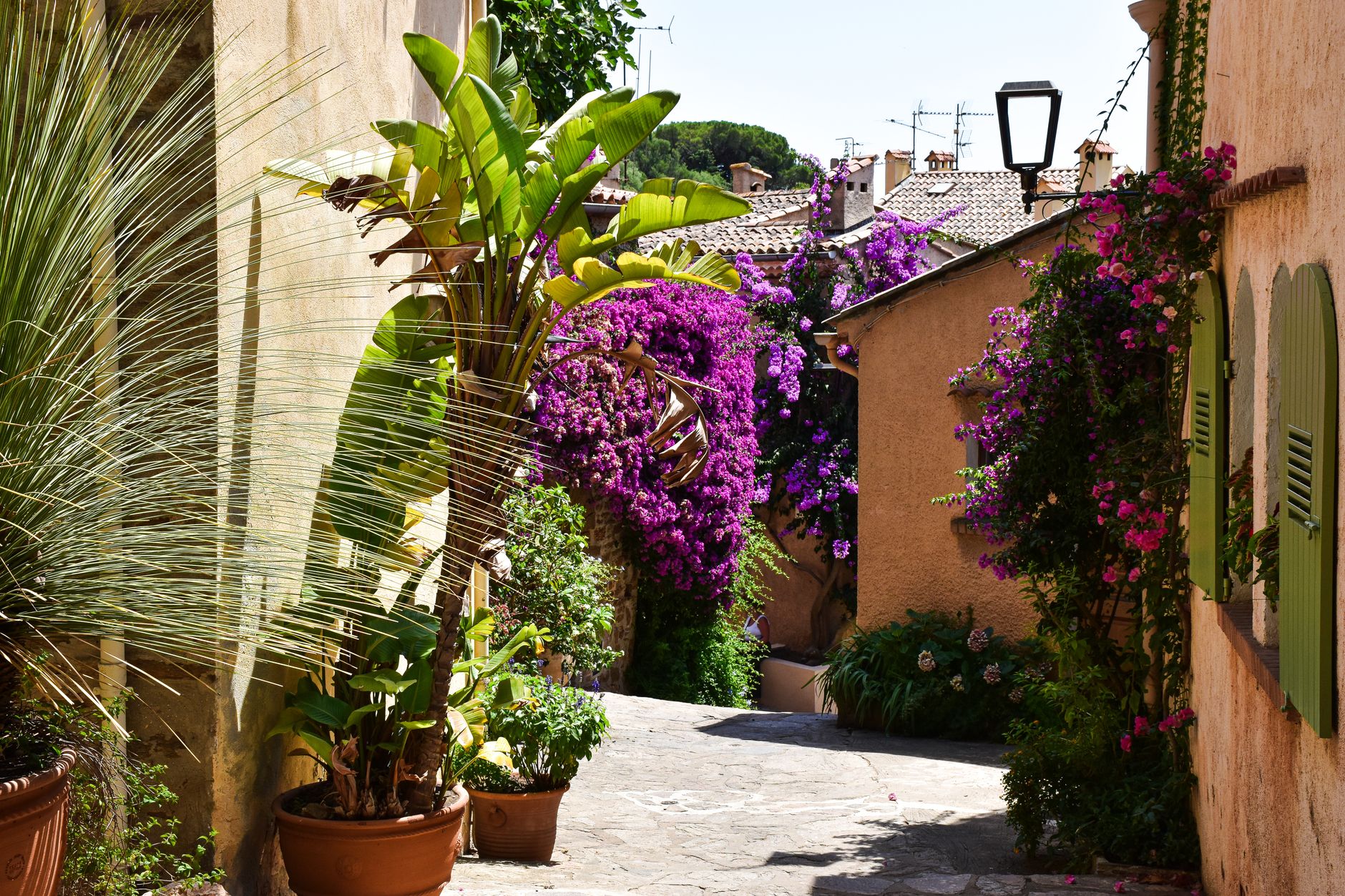 Aménager son jardin pour résister aux étés secs