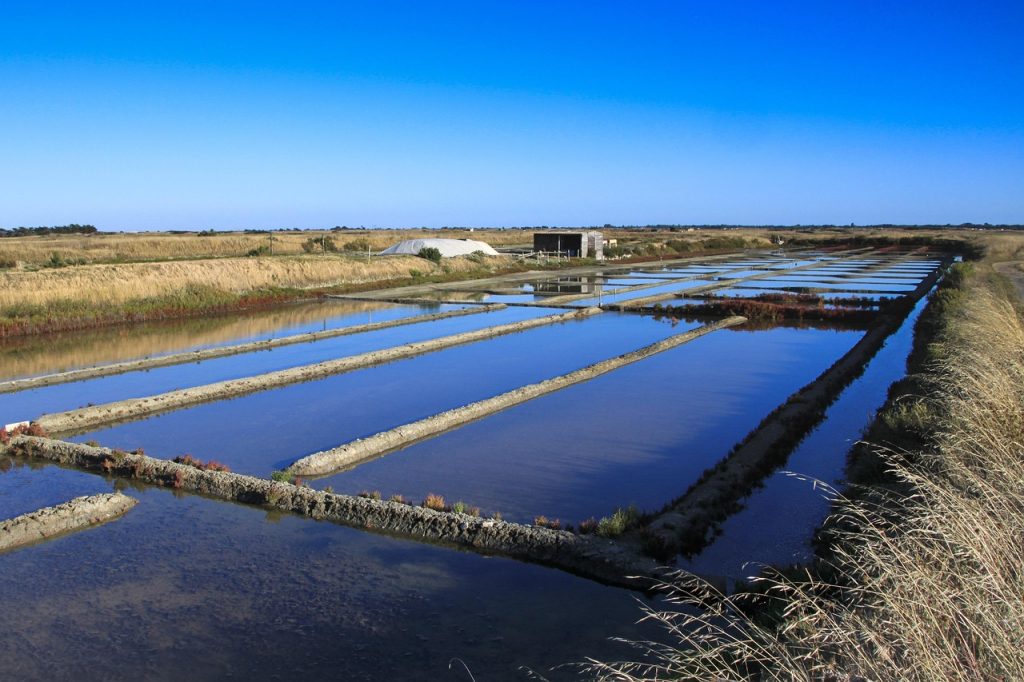 Marais salants sur la côte atlantique