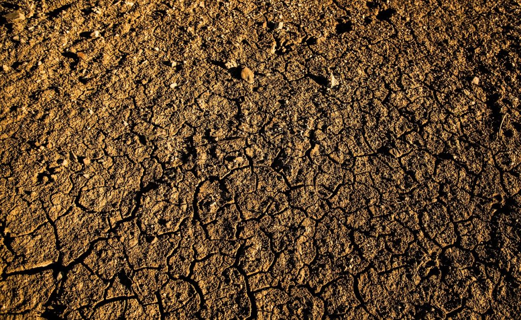 Sol agricole craquelé par la sécheresse