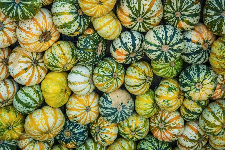 Pourquoi privilégier une alimentation saisonnière ?