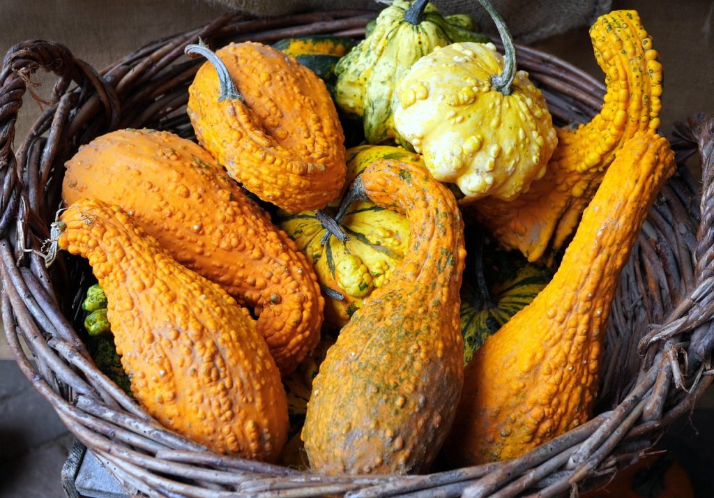 Panier de courges et cucurbitacées d'automne