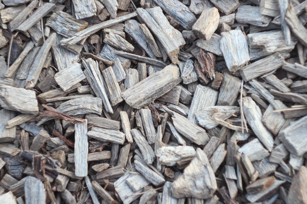 Paillis de bois étalé pour conserver l'humidité du sol
