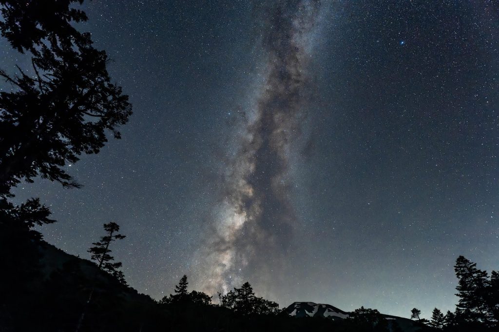 Voie lactée visible au-dessus d'une silhouette d'arbres