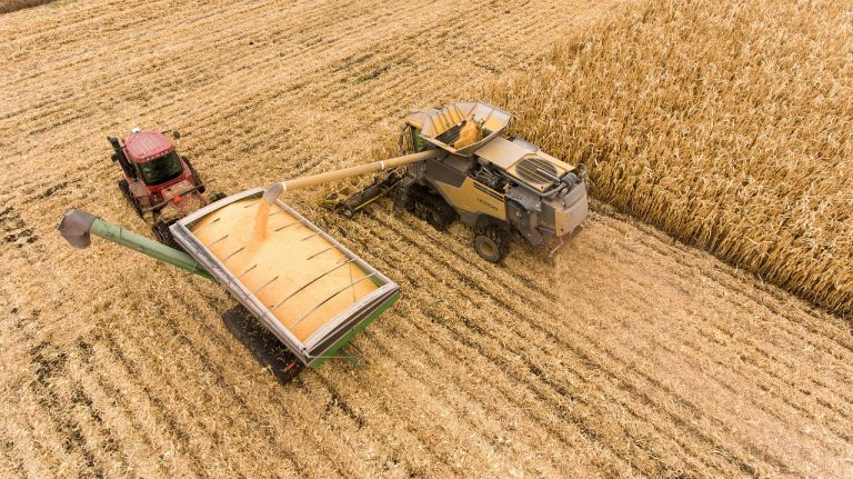 Finlande : 700 hectares de nouvelles terres et un dilemme pour les propriétaires