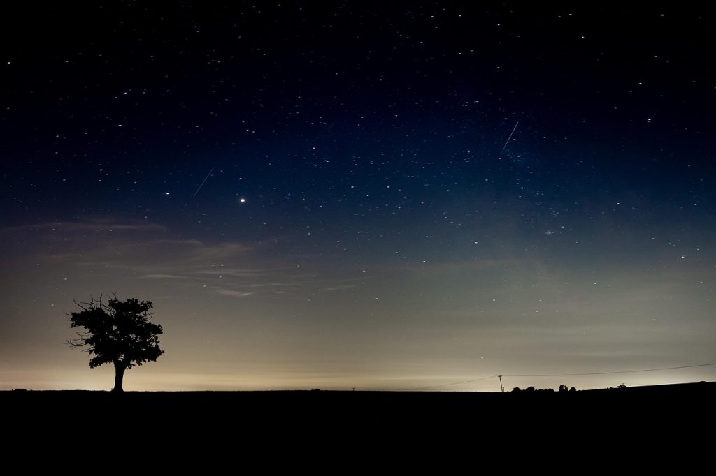 Arbre isolé sous un ciel étoilé la nuit