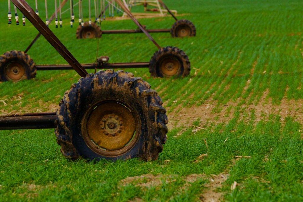 L&rsquo;impact de la canicule sur l&rsquo;agriculture française