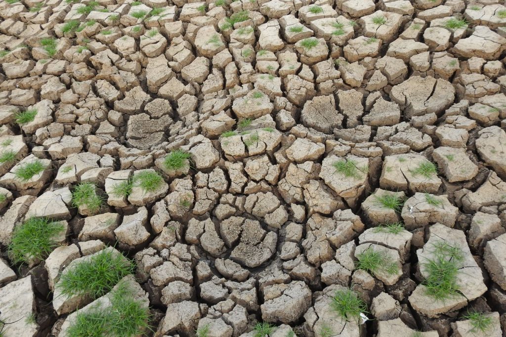 Évaluer et réduire votre impact sur le climat : un guide pratique