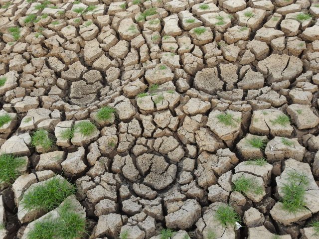 El Niño : L’Asie face à un défi climatique sans précédent