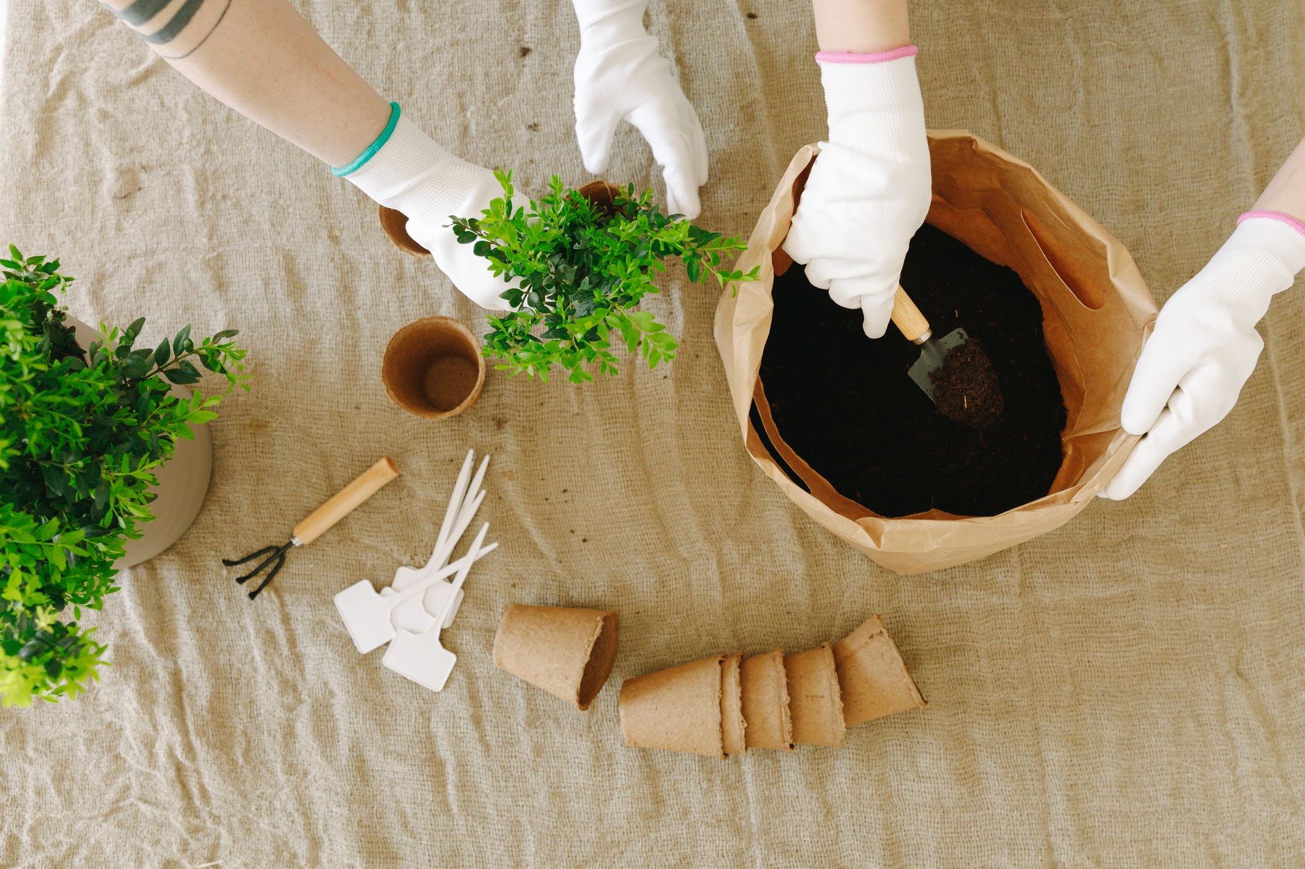 Créer un jardin écologique : guide pratique