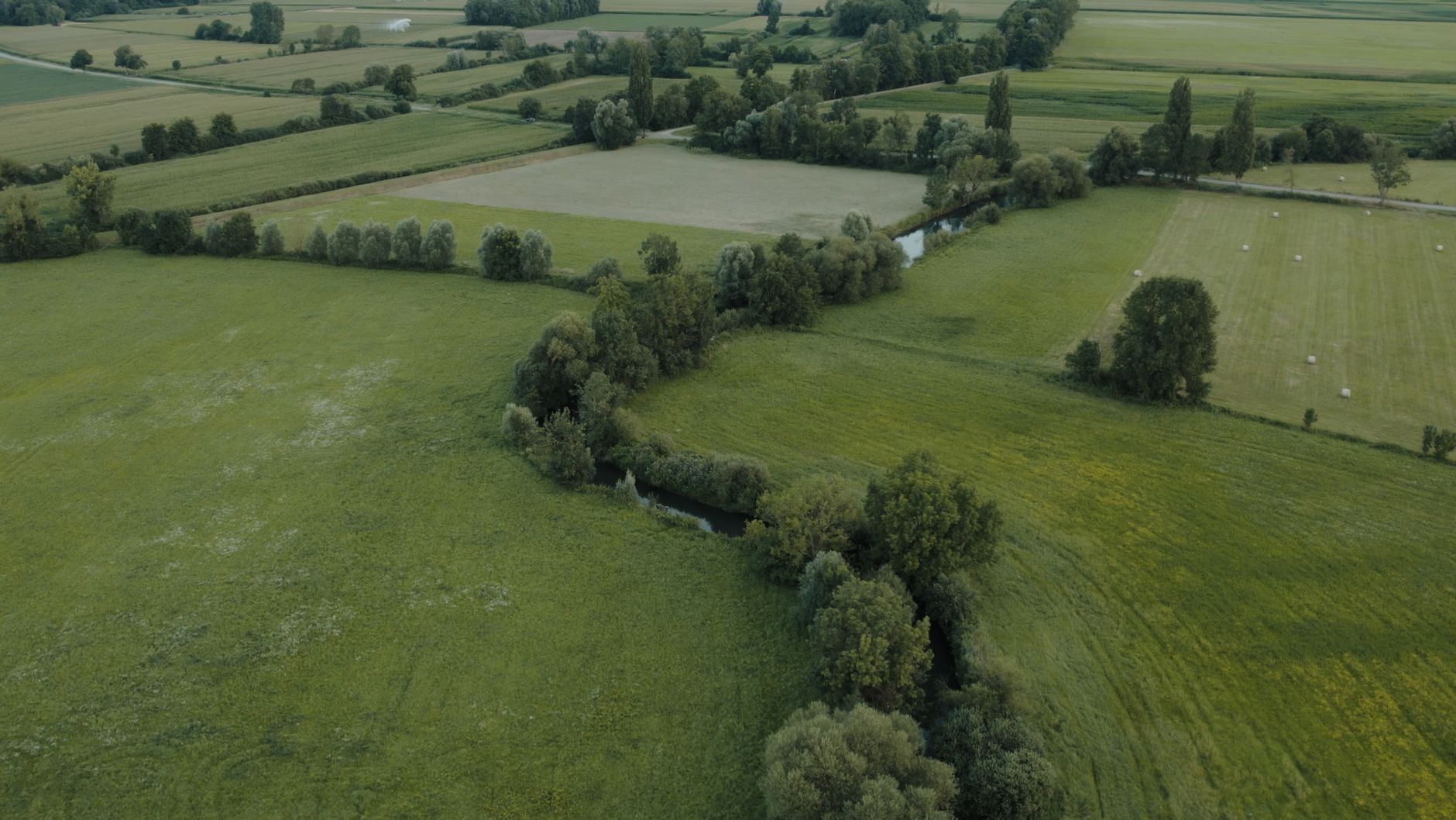 Strasbourg recule sur l'interdiction des Crit'air 3 : quelles alternatives pour l'environnement ?