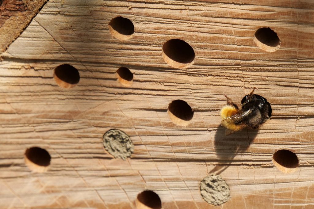 Hôtel à insectes en bois installé dans un jardin écologique