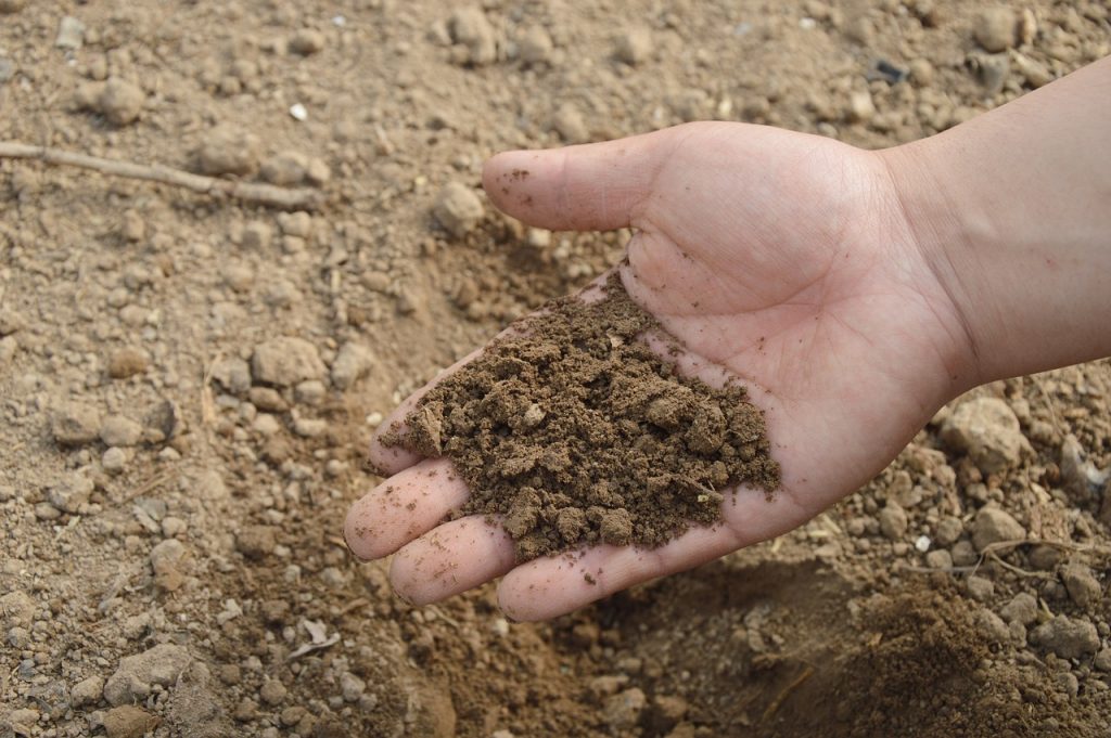 Préparation du sol avant la plantation d'un jardin écologique
