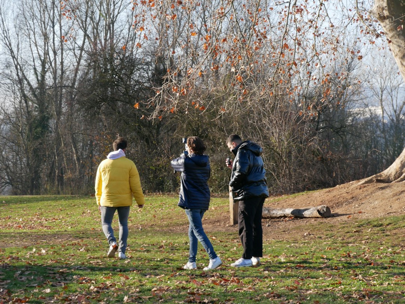 Groupe d'adultes en marche nordique avec des bâtons dans un parc